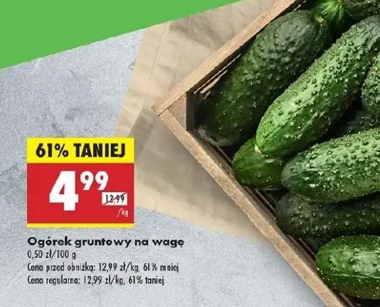 ogórek gruntowy