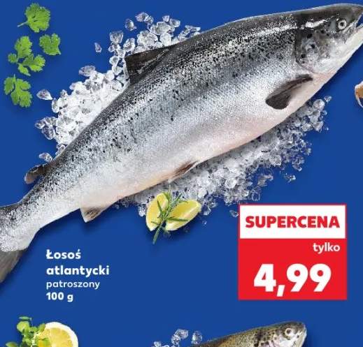 łosoś patroszony