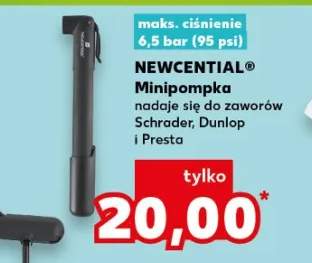 pompka