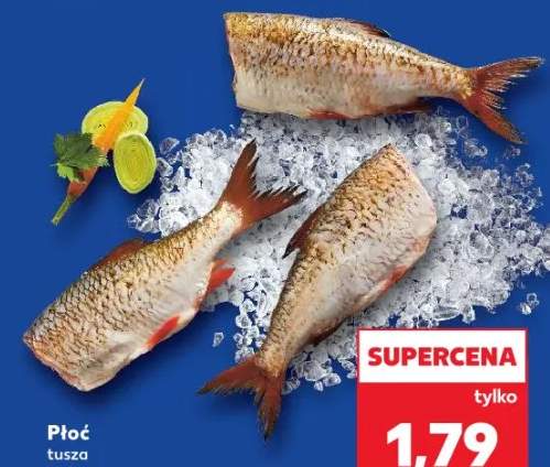 płoć tusza