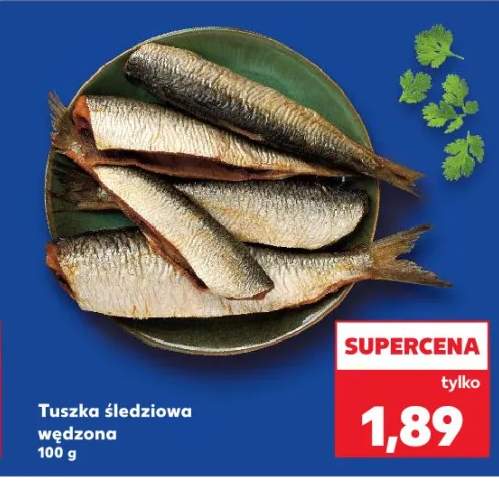 śledź tusza