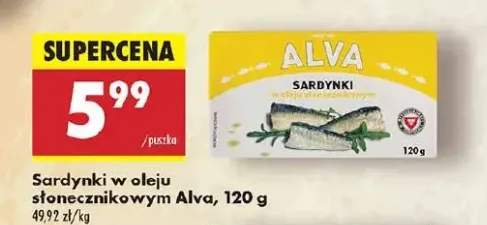 sardynki w oleju