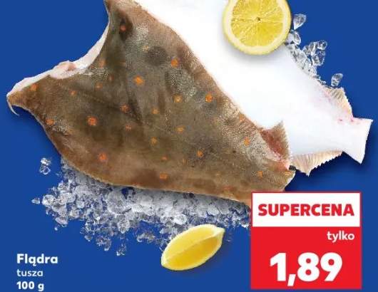 flądra tusza