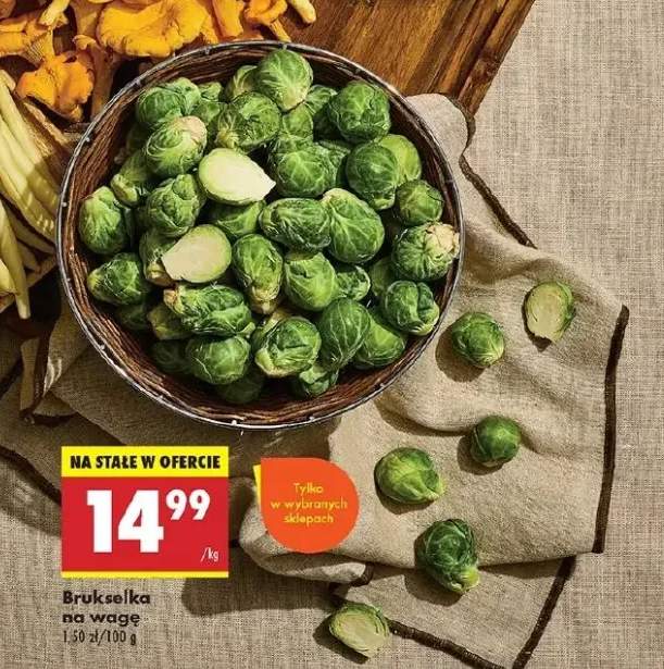 brukselka