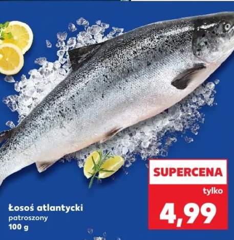 łosoś patroszony