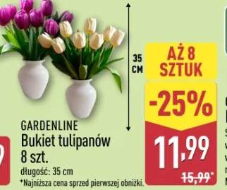 tulipany bukiet