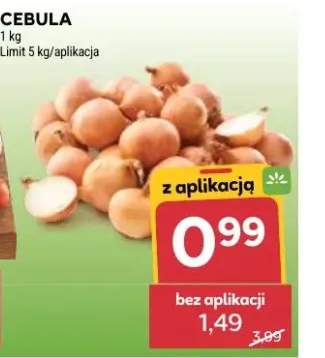 cebula żółta