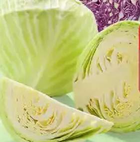 kapusta biała