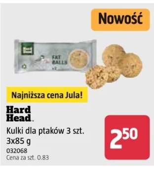 karma dla ptaków
