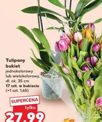 tulipany bukiet