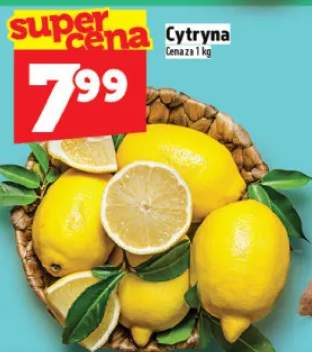 cytryny