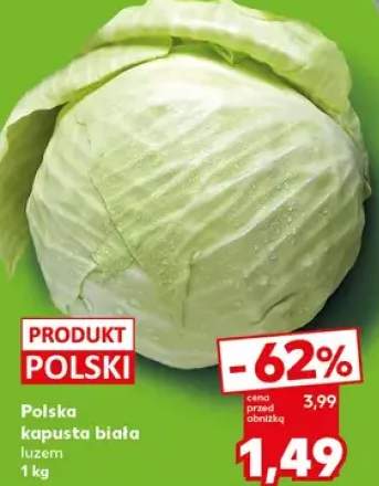 kapusta biała