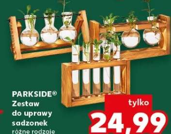 Zestaw do uprawy sadzonek różne rodzaje