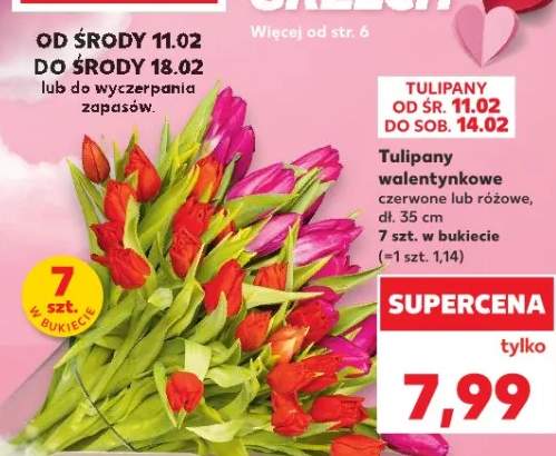 Tulipany walentynkowe czerwone lub różowe dł. 35 cm 7 szt. w bukiecie