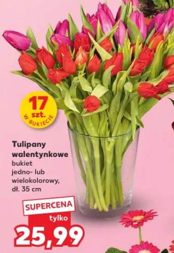 Tulipany walentynkowe bukiet 17 szt.