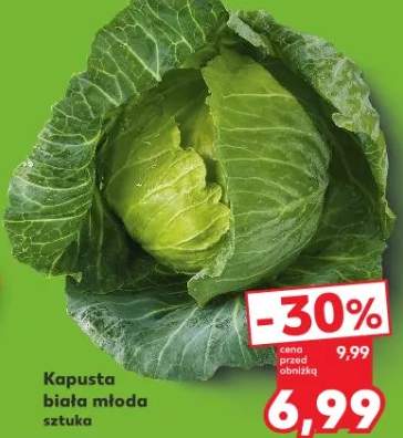 Kapusta biała młoda