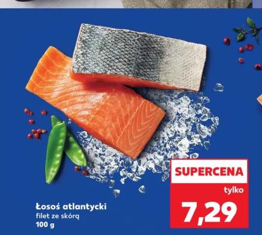 łosoś filet