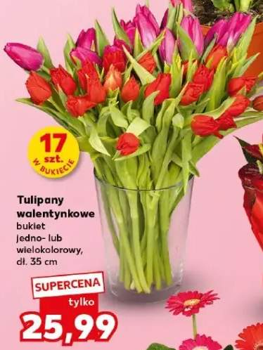 Tulipany walentynkowe bukiet jedno- lub wielokolorowy