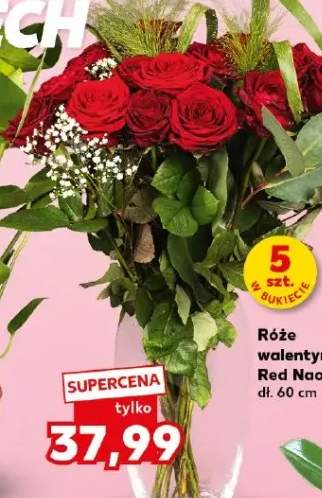 Róże walentynkowe Red Naomi
