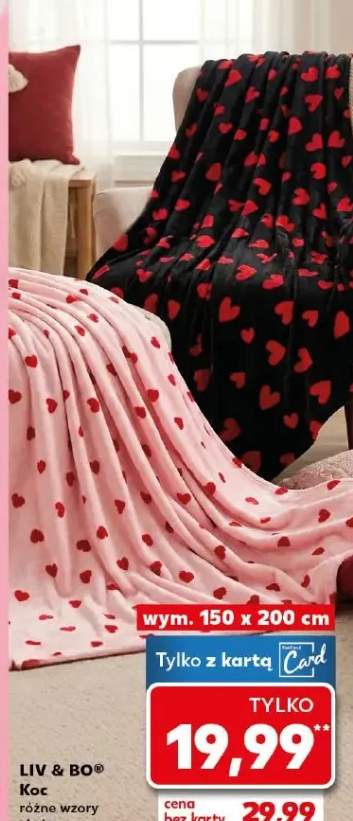 Koc różne wzory i kolory