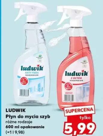 Płyn do mycia szyb różne rodzaje