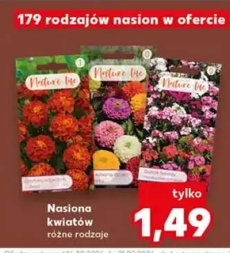 Nasiona kwiatów różne rodzaje