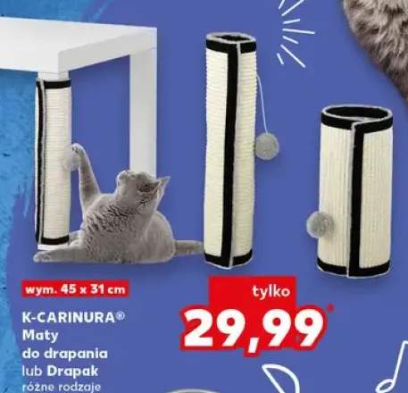 Mata do drapania lub Drapak