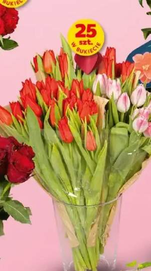 Tulipany walentynkowe czerwone lub różowe