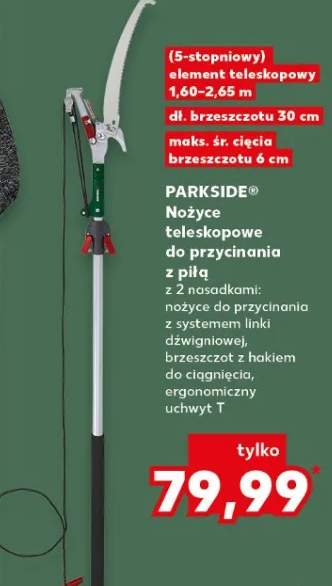 Nożyce teleskopowe do przycinania z piłą