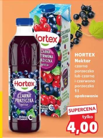 Nektar czarna porzeczka lub czarna porzeczka i czerwona porzeczka