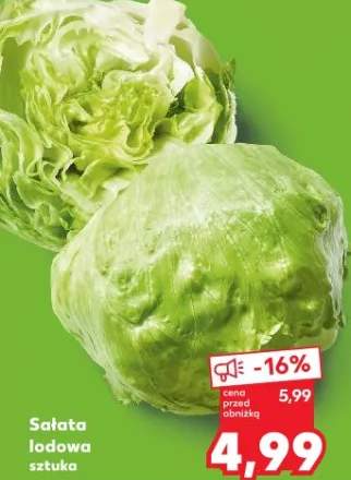 Sałata lodowa sztuka