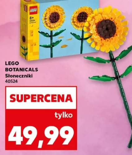 BOTANICALS Słoneczniki 40524