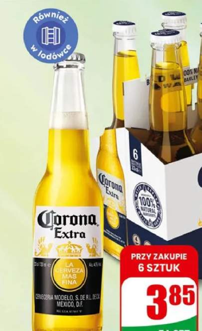 piwo Corona