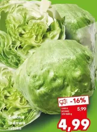 Sałata lodowa - sztuka