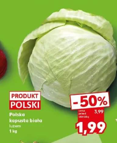 Kapusta biała luzem