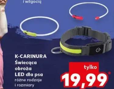 Świecąca obroża LED dla psa różne rodzaje i rozmiary