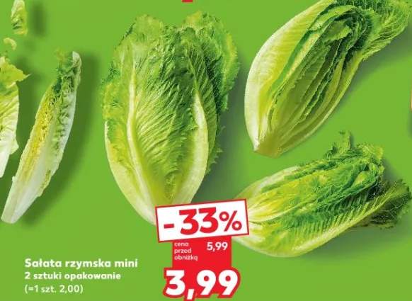 Sałata rzymska mini w opakowaniu