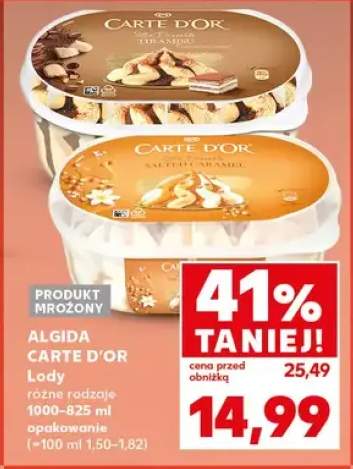 Lody różne rodzaje