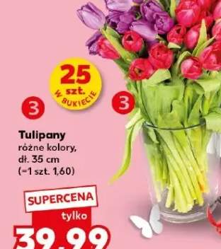 Tulipany różne kolory