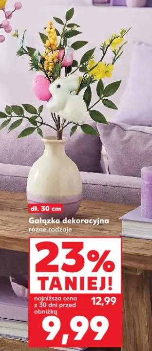 Gałązka dekoracyjna różne rodzaje