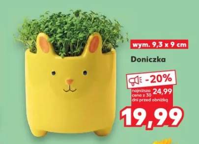 Doniczka