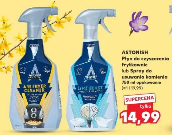 Płyn do czyszczenia frytkownic lub Spray do usuwania kamienia
