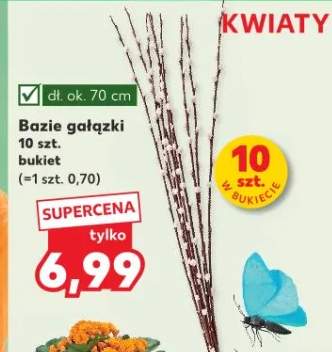 Bazie gałązki bukiet