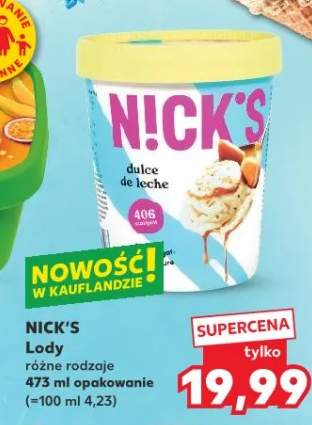 Lody różne rodzaje