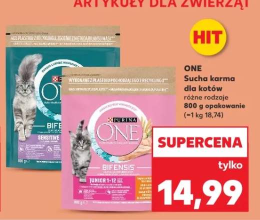 Sucha karma dla kotów różne rodzaje