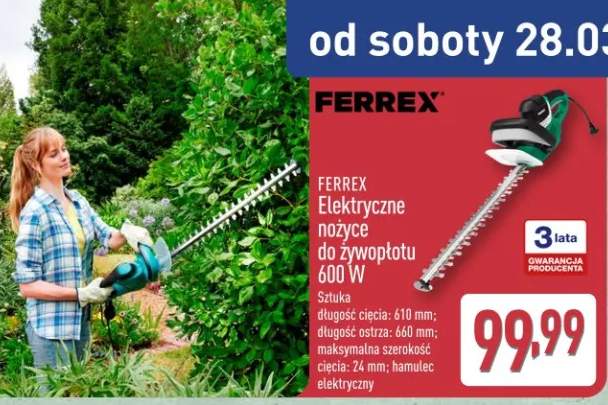 elektryczne nożyce do żywopłotu