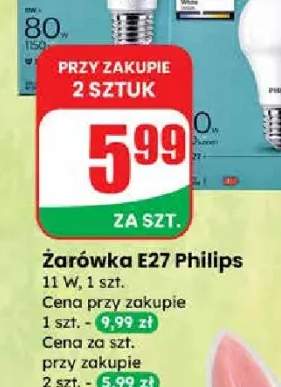 żarówka