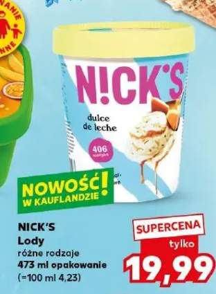 Lody różne rodzaje