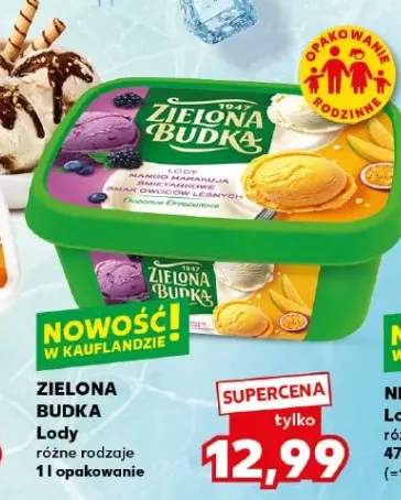 Lody różne rodzaje