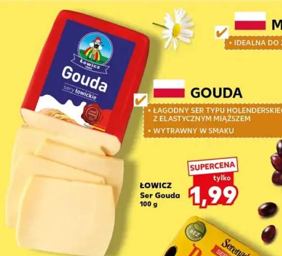 Ser Gouda